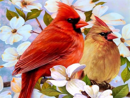 Cardinal in Apple Tree Paintings | Spring cardinals - Other & Abstract Background Wallpapers ... Birds And Flowers, Cardinal Birds, Simple Acrylic Paintings, Two Birds, Diamond Mosaic, Bird Pictures, Pretty Birds, Red Birds, Birds Painting