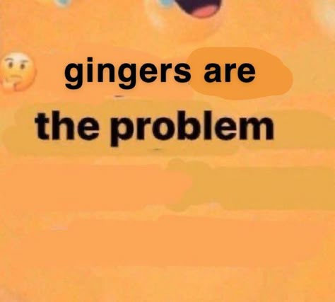 Ginger Memes Funny, Ginger Slander, Ginger Meme, Egg Sheeran, Ginger Funny, Ginger Jokes, I Love Gingers, Recipe Tiktok, Love My Friends