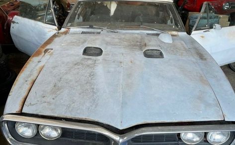 67 Firebird, Firebird Pontiac, 1967 Pontiac Firebird, 1969 Firebird, Heated Garage, Fire Bird, Pony Car, Drop Top, S Car