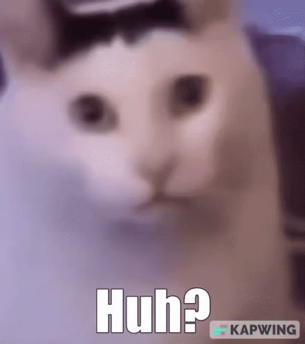 The Huh Cat, Huh Meme Faces, Huh Cat Gif, Chipi Chipi Chapa Chapa Cat Gif, Huh Reaction Pic, Meme Cats Funny Faces, Cat Meme Faces, Cat Goofy, Huh Meme