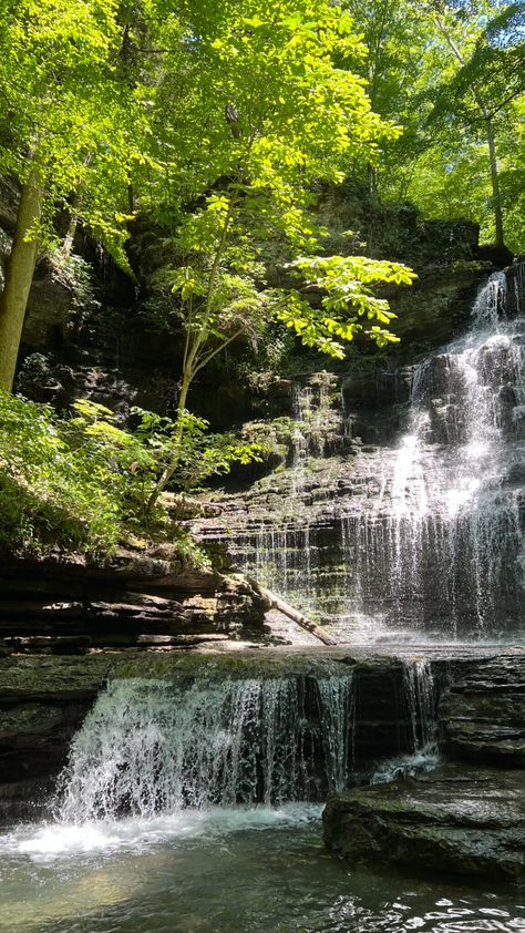 Machine Falls Tennessee, Tennessee Waterfalls, A Thoughtful Place, It Crowd, Tree Roots, Fall Hiking, Round Trip, The Rock, Nashville