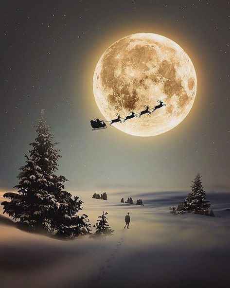 Full Moon, The Sky, The Moon, Trees, Moon, Christmas