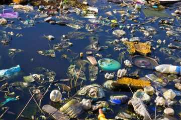 Free Vector | Water pollution with plastic bags in river Pollution Pictures, تلوث المياه, Pencemaran Udara, Marine Pollution, Nature Projects, Ocean Pollution, Contaminated Water, Water Images, World Water Day