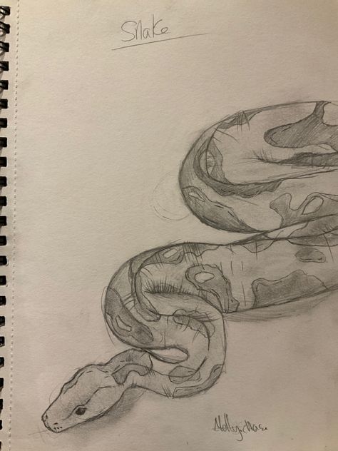 Snake Drawing Sketches, Snake Drawing, Tattoo Design Book, Easy Art, Sketch Ideas, Sketchbook Art, Design Book, Sketchbook Art Inspiration, Art Drawings Sketches Simple