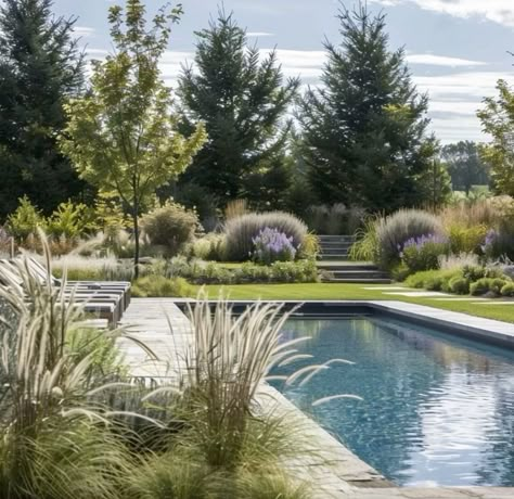 Inground Pool Landscaping Ideas, Landscaping Around Pool, Pool Landscaping Ideas, Inground Pool Landscaping, Be Still My Heart, Pools Backyard Inground, Fire Pit Landscaping, Natural Pond, Inground Pool