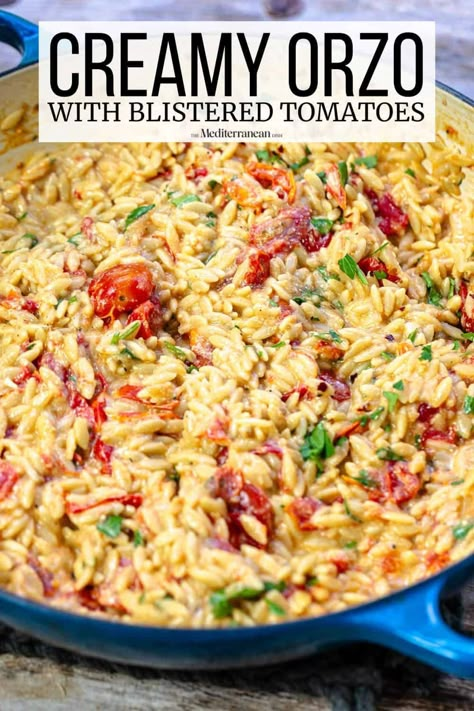 Creamy orzo with garlic, parmesan, and Greek yogurt. This easy pasta recipe uses just one pan and comes together in under 30 minutes! Creamy Tomato Orzo, Creamy Orzo Recipes, Tomato Orzo, Orzo Pasta Recipes, Blistered Tomatoes, Orzo Dishes, Creamy Orzo, Mediterranean Diet Recipes Dinners, Fresh Tomato Recipes