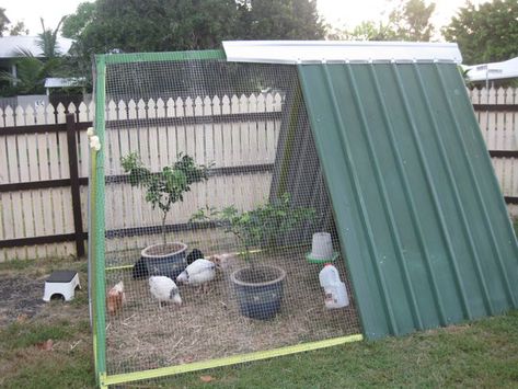 chicken coops Reban Ayam, Easy Diy Chicken Coop, A Frame Chicken Coop, Chicken Coop Blueprints, Easy Chicken Coop, Diy Chicken Coop Plans, Chicken Tractor, Coop Design, Coops Diy