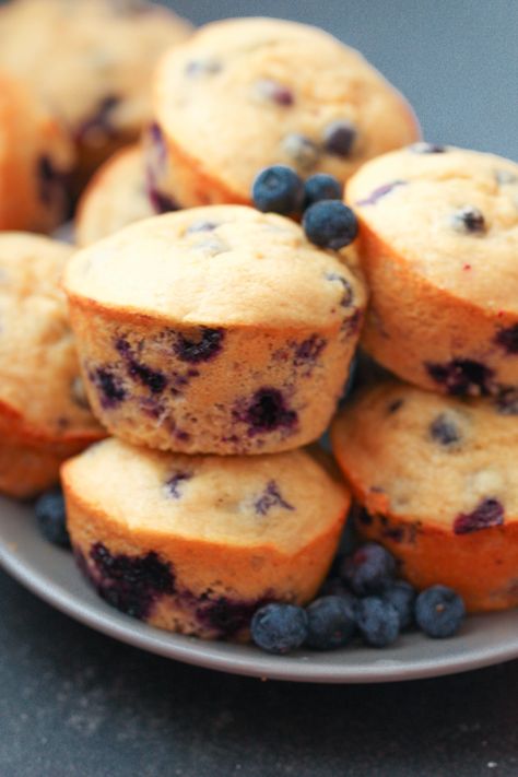 Protein Blueberry Muffins Recipe with Kodiak Cakes Mix Protein Blueberry Muffins, Kodiak Cakes Recipe, Protein Blueberry, Blueberry Protein Muffins, Blueberry Muffins Recipe, Perfect Healthy Breakfast, Gf Baking, Six Sisters Stuff, Kodiak Cakes