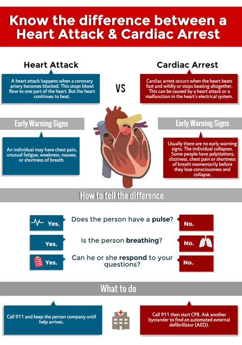 Blood Heart, Cardiopulmonary Resuscitation, Heart Diet, Parts Of The Heart, Cardiac Nursing, Heart Healthy Diet, Heart Care, Cardiovascular System, Medical Knowledge