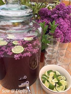 This delicately infused Lilac Cocktail recipe is perfect for serving to guests in spring. Capture the essence of this favorite flower in a drink! Shots Non Alcoholic, Lilac Cocktail, Edible Flowers Recipes, Wild Edibles, Flower Food, Wild Food, Invitations Wedding, Alcohol Recipes, Slushies