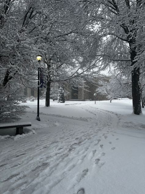 Snowy Path, Patterns In Nature, The Outsiders, Quick Saves, Art, Nature