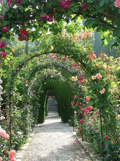 Garden Of Time, Rose Garden Aesthetic, Sissinghurst Garden, Place Photography, Palace Gardens, Tea Wedding, Alhambra Palace, Palace Garden, Garden Arches