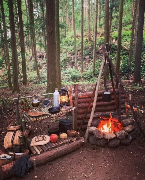 Bushcraft Shelter, Bushcraft Skills, Bushcraft Gear, Survival Skills Life Hacks, Outdoor Shelters, Food Collection, Survival Life Hacks, Bushcraft Camping, Survival Shelter