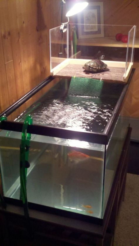 Diy Turtle Basking Platform Above Tank, Diy Basking Area Turtle Tanks, Turtle Setup, Turtle Basking Area, Tartaruga Habitat, Aquatic Turtle Tank, Turtle Tank Setup, Turtle Tanks, Diy Turtle