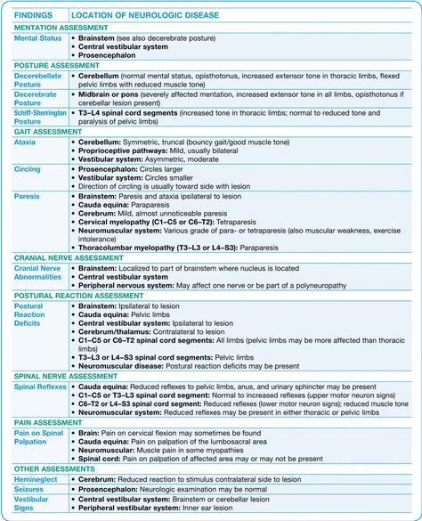 030413 neuro chart Veterinarian Career, Medical Lab Technician, Vet Technician, Vestibular System, Veterinary School, Vet Medicine, Horse Care Tips, Vet School, Animal Medicine