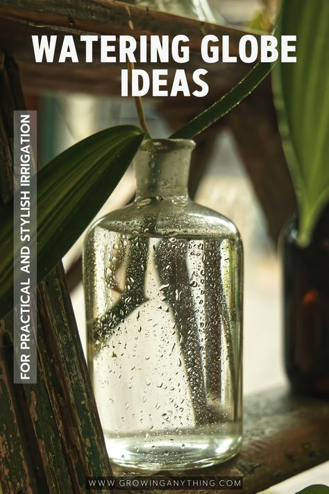 19 Watering Globe Ideas For Practical and Stylish Irrigation 2024 Diy Plant Watering Globes, Water Globes For Plants, Diy Watering Globes For Plants, Globe Ideas, Garden Hacks Diy, Automatic Watering System, Garden Hacks, Growing Gardens, Drip Irrigation System