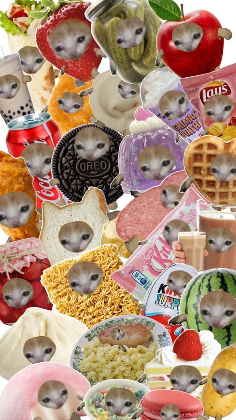 Cat Food Pfp, Food Cat Pfp, Food Cat, Cat Pfp, Cute Desktop Wallpaper, Cat Food, Desktop Wallpaper