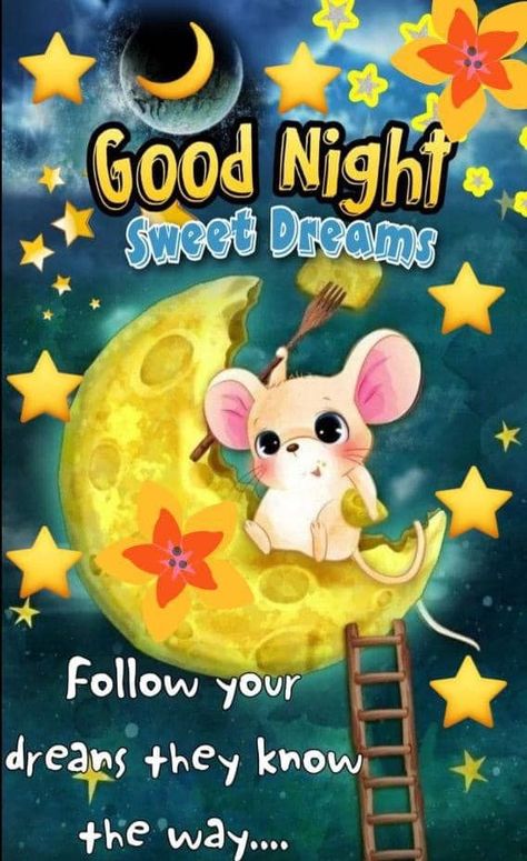 Follow Your Dreams, They Know: Good Night And Sweet Dreams Pictures, Photos, and Images for Facebook, Tumblr, Pinterest, and Twitter Sweet Dreams Messages, Night Humor, Sweet Dreams Good Night, Sweet Dreams Pictures, Dreams Pictures, Beautiful Good Night Messages, Goodnight Snoopy, Good Night Hug, Goodnight Messages