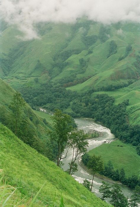 Abundant greenery, Arunachal Pradesh India Landscape, North East India, India Travel Places, Arunachal Pradesh, Northeast India, Amazing Places On Earth, Paradise On Earth, Beautiful Places Nature, Tourist Places