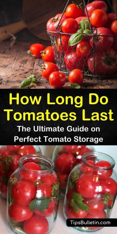 How long do tomatoes last? Tomatoes only last a few days on the counter or in the fridge. Learn how to freeze, can, or dry tomatoes for long term storage. Store Tomatoes In The Fridge, How To Freeze Fresh Tomatoes, Tomato Storage Ideas, How To Store Tomatoes In The Fridge, Canning Citrus, Tomato Storage, Freezing Cherry Tomatoes, Preserve Vegetables, Canning Tomato Juice