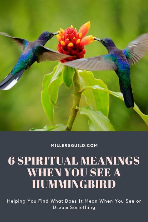 6 Spiritual Meanings When You See a Hummingbird Humming Bird Nests, Hummingbird Tattoo With Semicolon, What Does A Hummingbird Symbolize, Hummingbird Meaning Spiritual, Hummingbird Spiritual Meaning, Hummingbird Quotes, Hummingbird Meaning, Hummingbird Tattoo Meaning, Hummingbird Symbolism