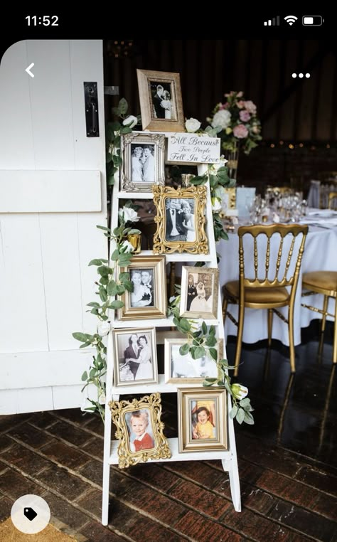 Wedding Ladder Decor, Bridal Shower Photo Display, Photo Ladder, Wedding Ladder, Wedding Entry Table, Marquee Wedding Decoration, Outdoor Birthday Party Decorations, Ladder Wedding, Wedding Seating Chart Display