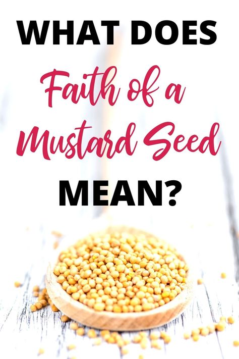 The Mustard Seed Parable, Honey In The Rock Bible Verse, Mustard Seed Faith Craft, Faith Of A Mustard Seed Quote, Faith Of A Mustard Seed Verse, If You Have Faith As Small As A Mustard Seed, Mustard Seed Parable, Faith As Small As A Mustard Seed, Mustard Seed Of Faith