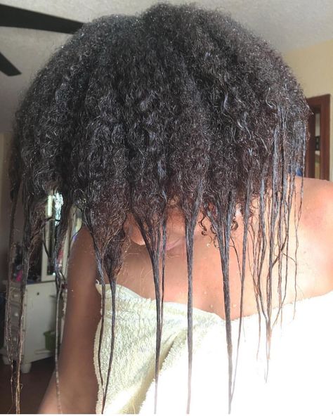 Heat Damaged Natural Hair, Damaged Curly Hair, Grow Long Healthy Hair, Heat Damaged Hair, Natural Hair Transitioning, Long Healthy Hair, Hair Fixing, Pelo Afro, Healthy Hair Tips