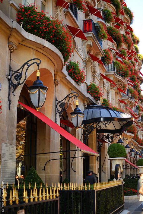 Hôtel Plaza Athénée Hotel Plaza Athenee Paris, Plaza Athenee Paris, Plaza Athenee, France Photos, Paris Hotels, Paris Travel, France Travel, Places Around The World, Albania