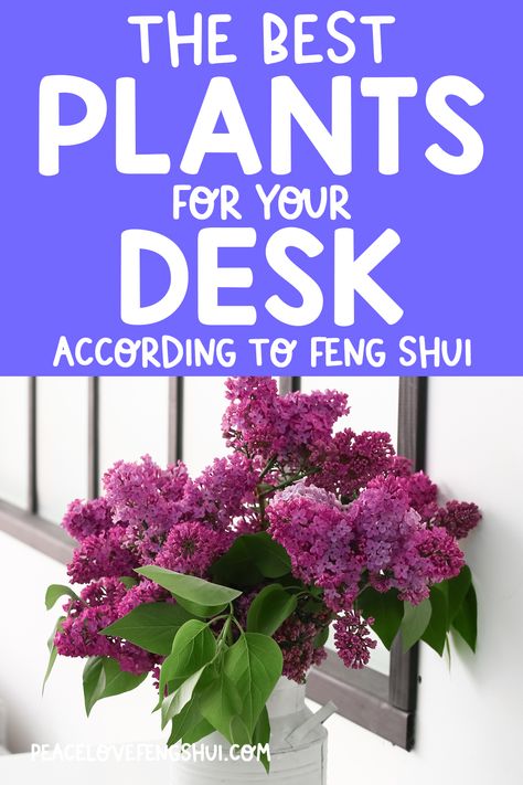 Feng Shui Bedroom Plants, Feng Shui Office Decor, Money Plant Decoration Indoor, Feng Shui Office Layout With Window, Feng Shui Cubicle, Calm Office Space Ideas, Feng Shui Study Room, Feng Shui Work Desk, Feng Shui Desk Placement