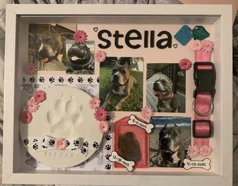 Shadowbox For Dog Pet Memorials, Pet Photo Album Ideas, Cat Shadow Box Ideas, Pet Memorial Keepsake, Pet Shadow Box Ideas, Memory Shadow Box Ideas Diy, Memorial Dog Ideas, Ways To Remember Your Dog, Pet Collage Ideas