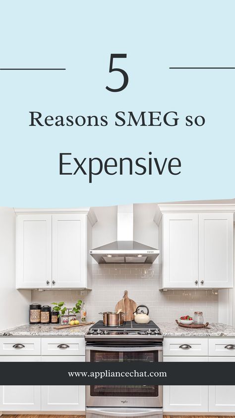 The article discusses why SMEG, famous appliance brand is so expensive. It is an important consideration if you are looking to purchase a SMEG product or looking around for similar types of appliance brands (fridges, ovens, toaster, washing machines, dryer and small appliances) Smeg Fridge, Smeg Appliances, Washing Machines, Retro Designs, Small Appliances, Washing Machine, Design