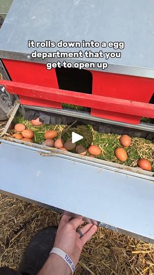 1.5K views · 74 reactions | This Rollaway Nesting Box from Hen Gear has changed the way we collect eggs in the best way!

Order your nesting box from Hen Gear now til the end of April to get 10% off

Use our code (adventure15) at the check out for an additional 15% off giving you 25% off your nesting box til the end of April!

#hengear #nestingbox #chickencoop #backyardchickens
#chickens #eggs #chickeneggs | Chelsea Ahearn | Acres of Adventure | Giulio Cercato · Echoes Of Us (Instrumental) Nesting Box, Chicken Coops, Nesting Boxes, Chicken Eggs, Chickens Backyard, Chicken Coop, Hen, The End, Chelsea