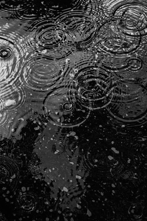 Water Puddle, Smell Of Rain, Rain Wallpapers, Rainbow Warrior, Clip Art Pictures, Rain Storm, Rainbow Sky, Rain Barrel, Rain Water Collection