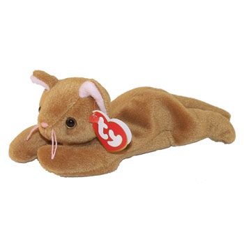 Ty Plushies, Contact Pictures, Childhood Core, Cat Beanie Baby, Baby Beenies, Mha Dr, Beanie Baby Bears, Baby Wish List, Baby Wishlist