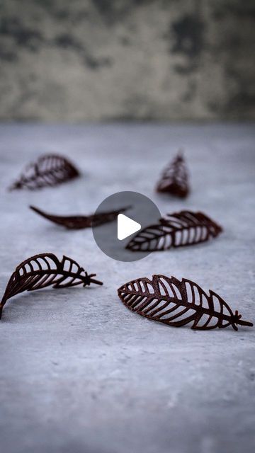 Fancy Desserts Presentation, Chocolate Decoration, Fine Dining Desserts, Dessert Presentation, Homemade Pastries, Tart Shells, Fancy Desserts, Chocolate Decorations, Icing Sugar