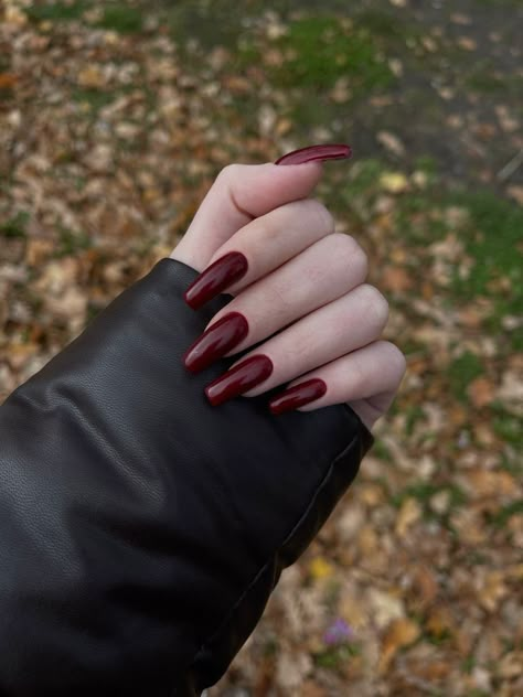 Kutek Disney, Dark Red Nails, Wine Nails, Nagel Tips, Casual Nails, Red Nail Polish, Burgundy Nails, Red Nail, Stick On Nails