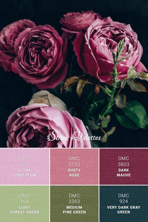 Dark Green Mauve Color Palette, Pink Yellow Green Purple Color Palette, Orange Pink And Green Aesthetic, Color Palette Dark Pink, Color Palette Pink Dusty Rose, Plum Colour Palette, Dark Green Pallete Color Combos, Dark Pink Color Palette, Pink Black Color Palette