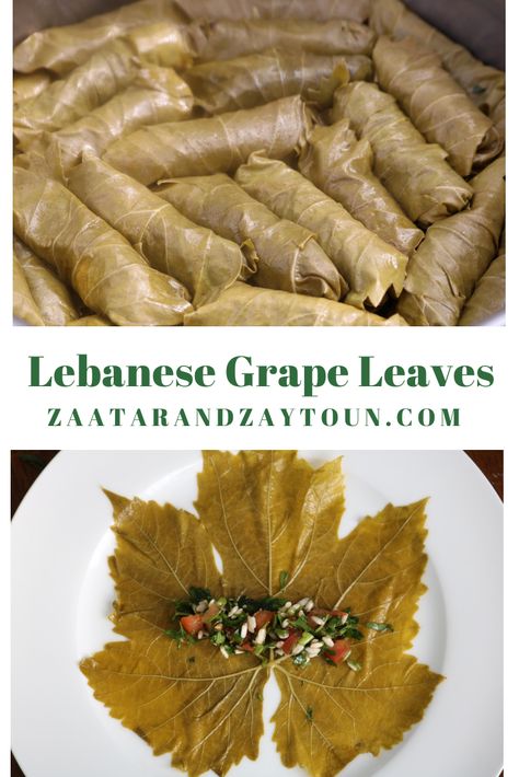 Grape Leaves Recipe, Stuffed Vine Leaves, Stuffed Grape Leaves, Stuffing Ingredients, Vine Leaves, Lebanese Recipes, Middle Eastern Recipes, Fresh Veggies, Grape Leaves