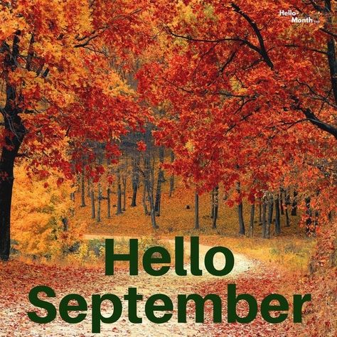 Hello September October Pictures Fall, Welcome October Images, September Season, October Images, October Pictures, September Pictures, September Month, Welcome October, October Quotes