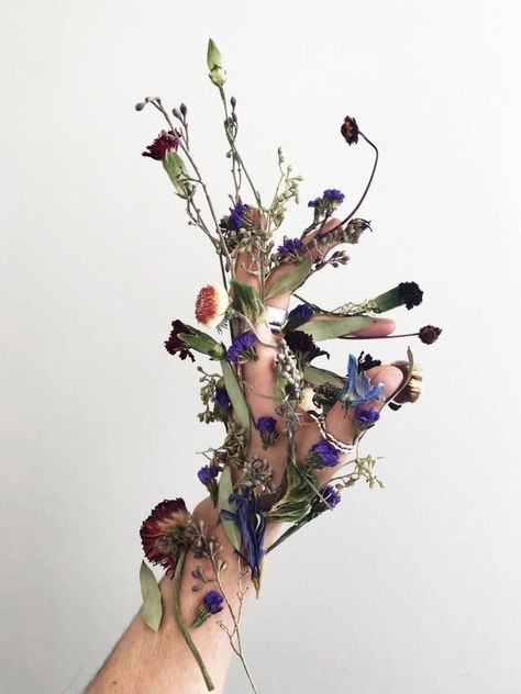 Growth And Decay, Ap Art, Mother Nature, Flower Power, Art Direction, Art Inspo, Art Reference, Art Projects, Mood Board