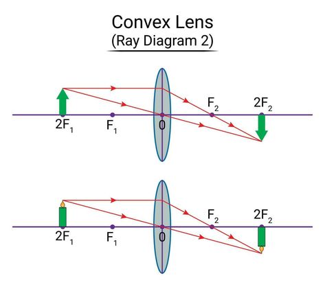 Convex Lens Ray Diagram 2 Ray Diagrams, Convex Lens, Vector Art, Vector Free, Clip Art, Quick Saves