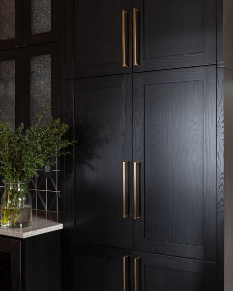 Black Inset Kitchen Cabinets, Black Stained Built Ins, Black Kitchen Cabinets Brass Hardware, Black Cabinet Brass Hardware, Black Wood Cabinet, Black Cabinets With Brass Hardware, Black Stained Interior Doors, Black Stained Bathroom Cabinets, Black Wood Cabinets Kitchen