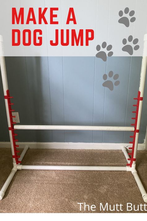 Dog Agility Jumps Diy, Board And Train For Dogs, Diy Dog Agility Equipment Do It Yourself, Dog Agility Course Diy How To Build, Diy Agility Equipment, Diy Dog Training Equipment, Diy Dog Obstacle Course, Dog Obstacle Course Diy, Diy Dog Agility Equipment