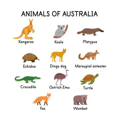 Australia For Preschoolers, Australia Art For Kids, Australian Animals Activities, Australian Animals Illustration, Australia Preschool, Animals In Australia, Animals Of Australia, Australia For Kids, Dingo Dog