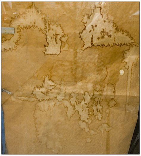 Great treasure map paper (Creative Commons) Art Of Coffee, Art Journal Prompts, Map Paper, Eco Dyeing, Treasure Map, Tea And Coffee, Tea Dyeing, Eco Printing, Treasure Maps