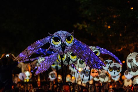 Lantern Parade, Owl Lantern, High Museum, School Events, Paper Lanterns, Finding Peace, Art Class, Flocking, Art Classes