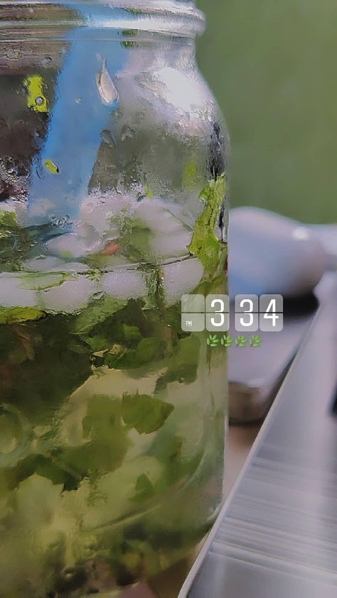 Virgin Mojito Aesthetic, Virgin Mojito, Streak Ideas, Mojito, Aesthetic Food, Plastic Water Bottle, Water Bottle, Drinks, Quick Saves