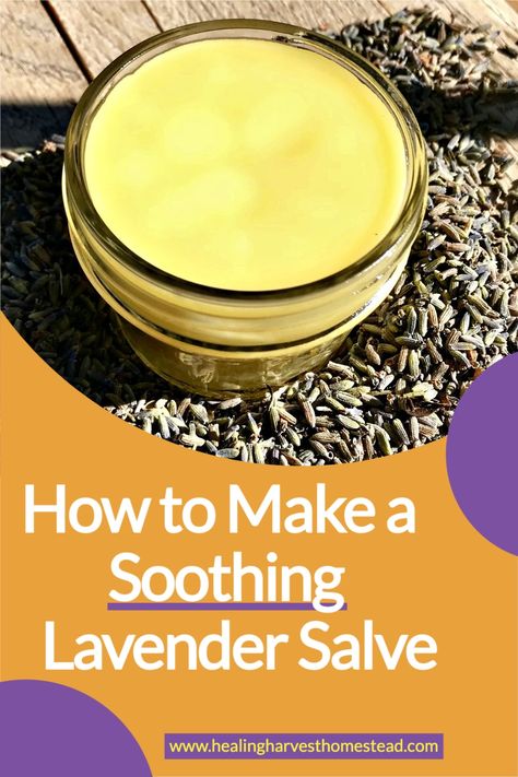 lavender salve in jar Home First Aid Kit, Lavender Salve, Pain Relief Salve, Healing Salve Recipe, Medicine Recipes, Lotion Bars Recipe, Homemade Skincare, Diy Spa Day, Lavender Crafts