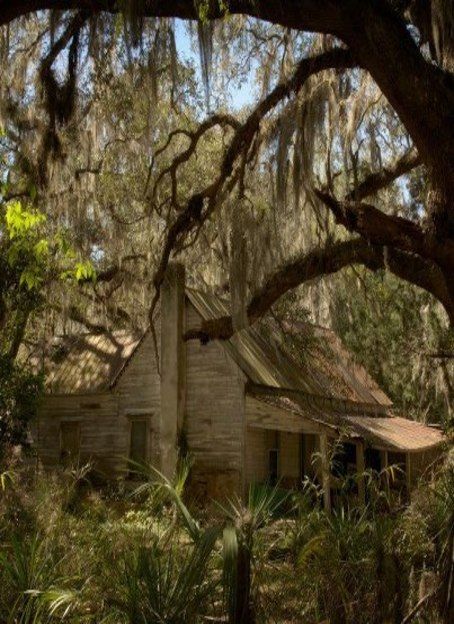 deep in the heart of Louisiana...what sad stories the weeping willows tell when the Gulf winds blow! Louisiana Swamp, Creepy Houses, Abandoned Mansions, Old Farm Houses, Challenge Yourself, Haunted Places, Old Barns, Old Farm, Abandoned Buildings